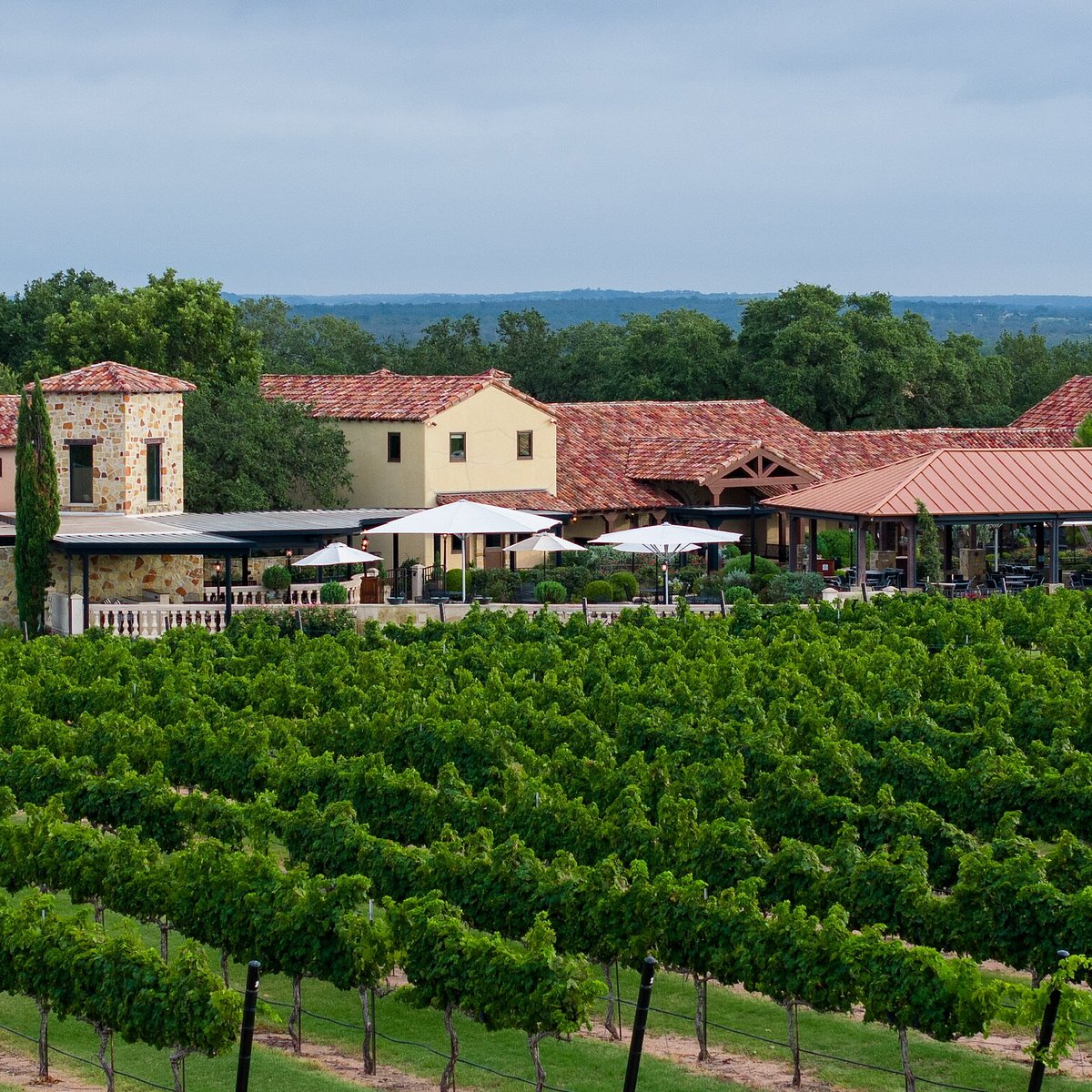 Grape Creek Vineyards