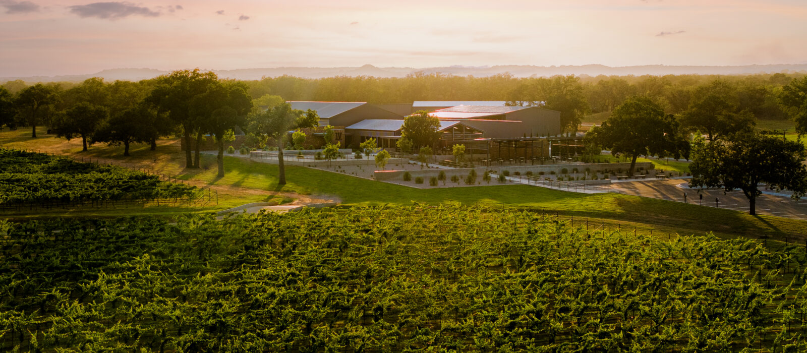 Highway 290 wine road